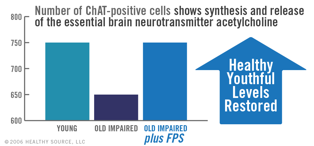 Chart shows number of ChAT-positive cells showing synthesis and release of the essential brain neurotransmitter acetylcholine. Young vs old-impaired study shows healthy youthful levels were restored when taking phosphatidylserine.